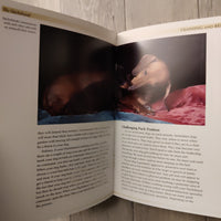 The Dachshund
