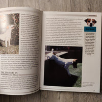 The Parson & Jack Russell Terriers
