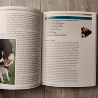 The Parson & Jack Russell Terriers