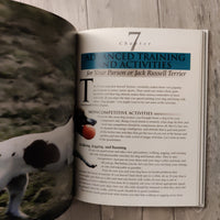 The Parson & Jack Russell Terriers