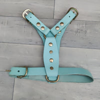 Genuine Blue Leather Adjustable Bull Terrier Puppy Harness 46-59cm Brass Fittings - British By Design