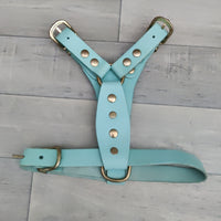 Genuine Blue Leather Adjustable Bull Terrier Puppy Harness 46-59cm Brass Fittings - British By Design