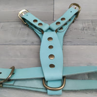 Genuine Blue Leather Adjustable Bull Terrier Puppy Harness 46-59cm Brass Fittings - British By Design