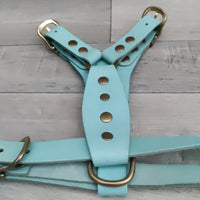 Genuine Blue Leather Adjustable Bull Terrier Puppy Harness 46-59cm Brass Fittings - British By Design