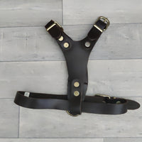 Genuine Brown Leather Adjustable Bull Terrier Puppy Harness 46-59cm Brass Fittings - British By Design