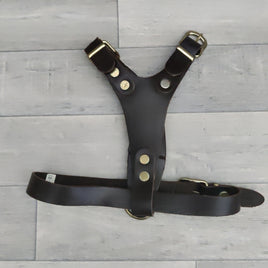 Genuine Brown Leather Adjustable Bull Terrier Puppy Harness 46-59cm Brass Fittings - British By Design