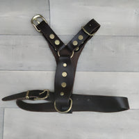 Genuine Brown Leather Adjustable Bull Terrier Puppy Harness 46-59cm Brass Fittings - British By Design