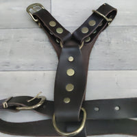 Genuine Brown Leather Adjustable Bull Terrier Puppy Harness 46-59cm Brass Fittings - British By Design