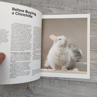 A Complete Pet Owner's Manual: Chinchillas (Paperback)