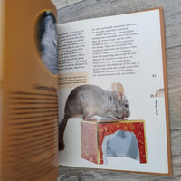 Chinchillas (Hardback) Book