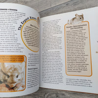 Chinchillas (Hardback) Book