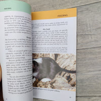 How To Care For Your Gerbil Book, New