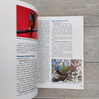 The Finch Handbook (Paperback), New