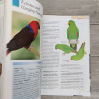 The Cage Bird Question And Answer Manual (Hardback)