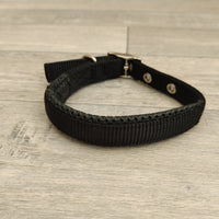 Black Padded Nylon Dog Collar 22mm X 26-36cm Neck