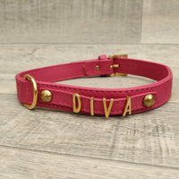 Hi Craft Luxury Designer Soft Leather Dog Collars - Name Plate