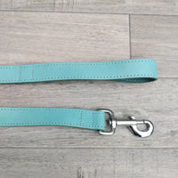 BBD Leather Lead 1" X 40" Blue