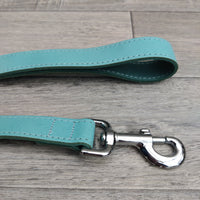 BBD Leather Lead 1" X 40" Blue