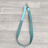 BBD Leather Lead 1" X 40" Blue