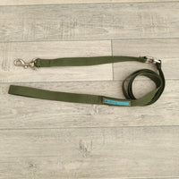 Green Nylon Anti Twist Dog Lead 20mm X 135cm