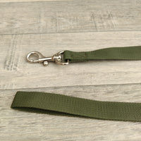 Green Nylon Anti Twist Dog Lead 20mm X 135cm