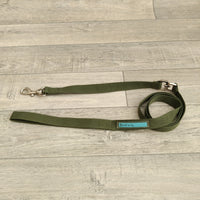 Green Nylon Anti Twist Dog Lead 20mm X 135cm