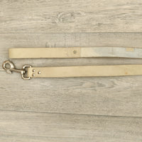 Mint Green Genuine Leather Dog Lead 25mm x 90cm