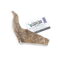 Antos Fallow Antler Dog Chew