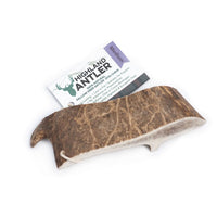 Antos Fallow Antler Dog Chew