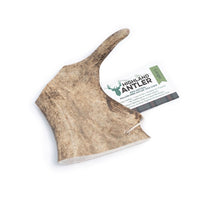 Antos Fallow Antler Dog Chew