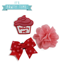 Ancol Pawty Its My Birthday Collar Accessories Pink