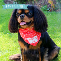 Ancol Pawty Its My Birthday Hat & Bandanna Pink