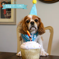 Ancol Pawty Its My Birthday Hat & Bandanna Blue