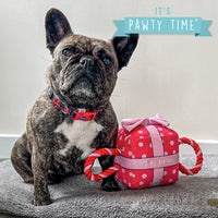 Ancol Pawty Its My Birthday Present Small Pink