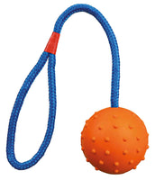 Trixie Natural Rubber Ball On A Rope - Various Colours