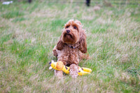 Rosewood ECO Friendly Giraffe Dog Toy