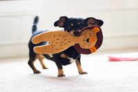 Rosewood ECO Friendly Lion Dog Toy