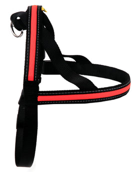 Animate Soft Nylon Orange LED Harness 60cm