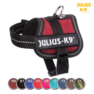 Julius K9 ® Powerharness Baby
