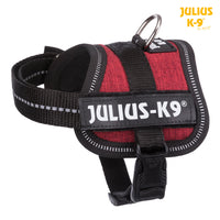 Julius K9 ® Powerharness Baby