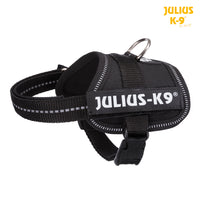 Julius K9 ® Powerharness Baby