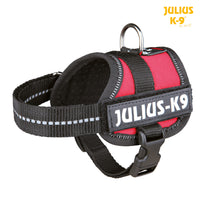 Julius K9 ® Powerharness Baby