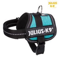 Julius K9 ® Powerharness Baby