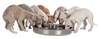 Trixie Puppy Bowl, Stainless Steel