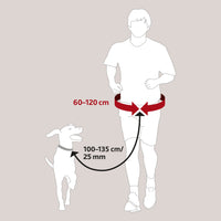 Trixie Waist Belt With Lead Up To 40 Kg, Black