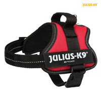 Julius-K9® Powerharness Mini 51-67cm