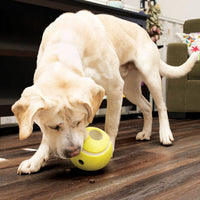 Kong Rewards Tennis Ball