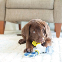 JW Puppy Connects Toy