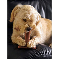 Bamboodles T-Bone Chew Toy For Dogs