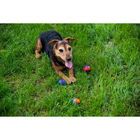 GIGwi Ball With Squeaker Small 3 Pack